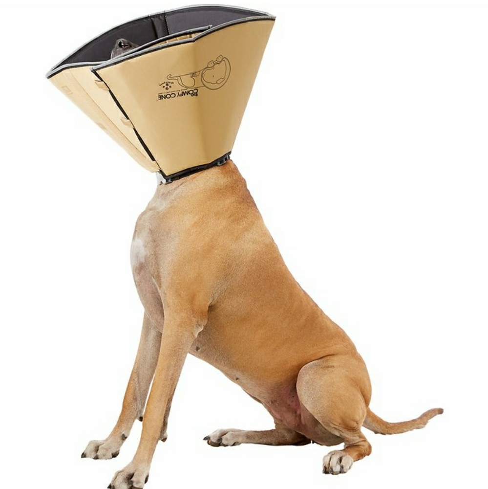 Comfy Cone XXL Giant Breed E-collar